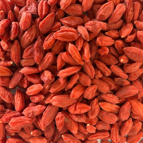 Fresh-Lock Gojiberry